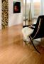 Parchet laminat lucios - imagine 57310